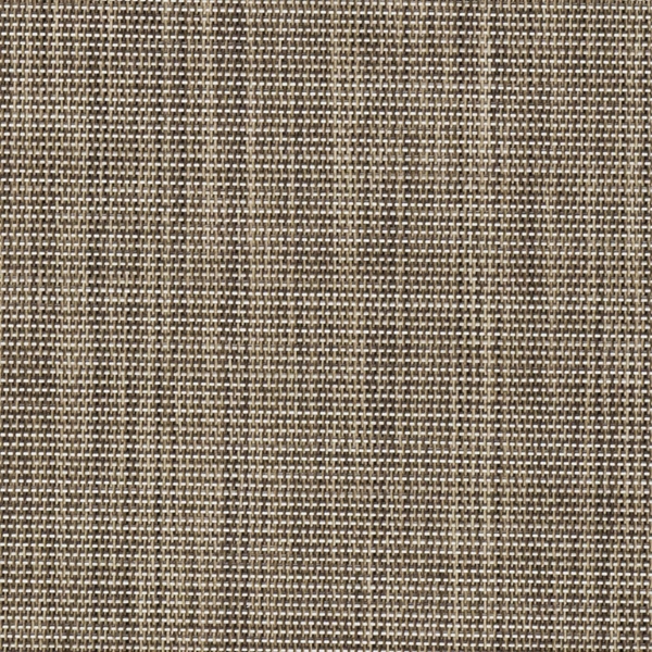 600342.jpg