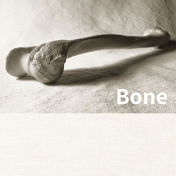 Bilde av SQUID 002 Bone, selvklebende tekstil